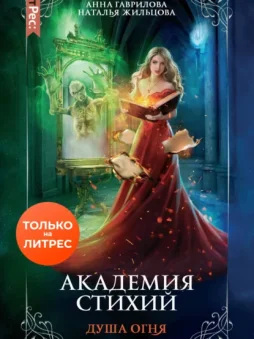 Академия Стихий. Душа Огня